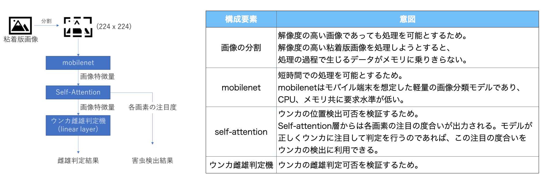 モデルの模式図と構成要素