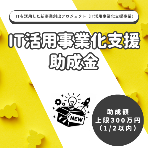 IT活用事業化支援助成金